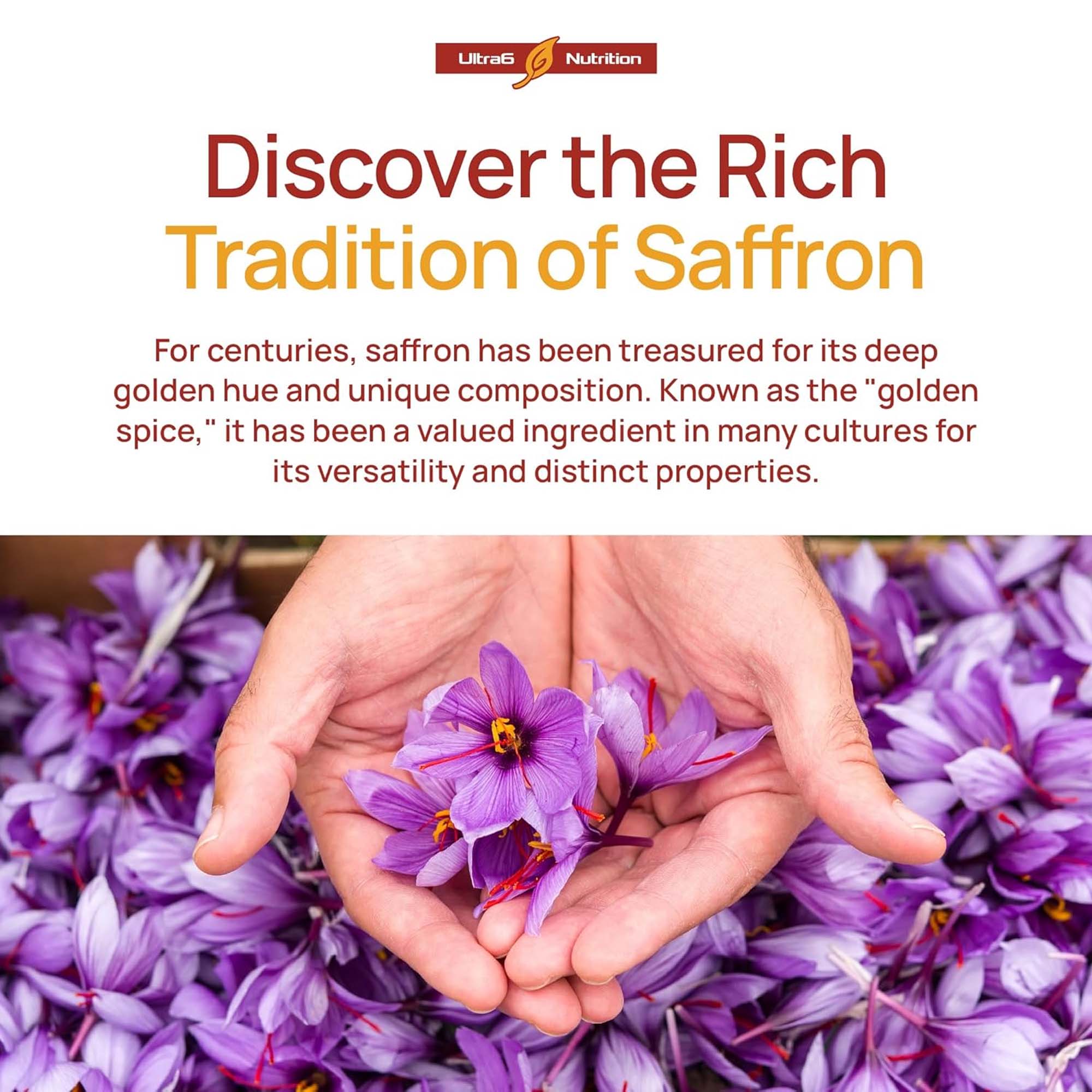 Health And Wellness Promotion - Saffron Extract Capsules, Antioxidant Daily Wellness