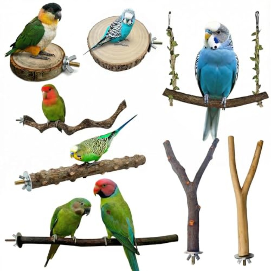 Health & Wellness Kuala Lumpur Reviews - 8PCS natural wood bird perches for