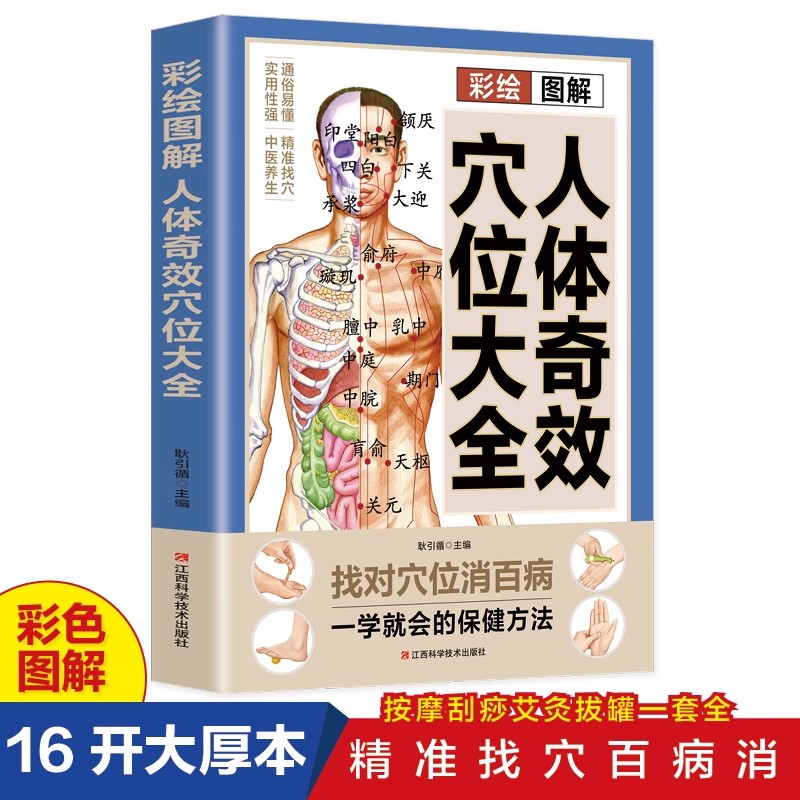 Health & Wellness Expo 2025 - Acupoint Massage & TCM Health Preservation