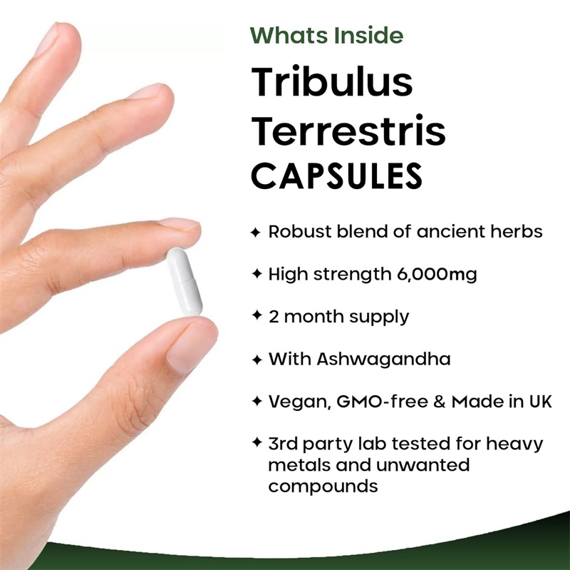 Tribulus Terrestris 6000MG - S - Health And Wellness Promotion 评论和价格