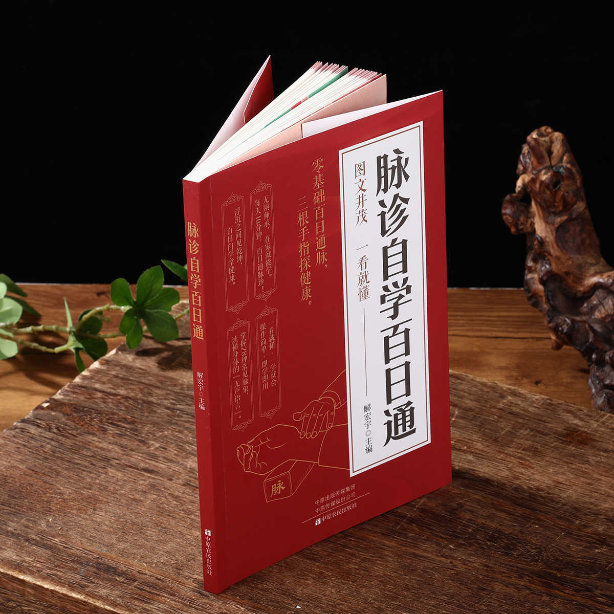Pulse Diagnosis Self Study Hun - Health & Wellness Kuala Lumpur Reviews 评论和价格